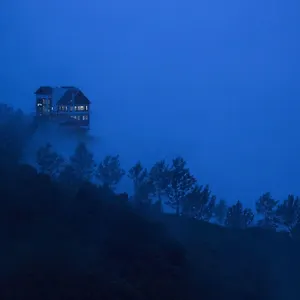 Fragrant Nature Munnar